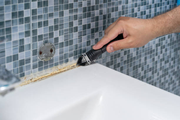 Best Toxic Mold Removal  in Braska City, NE
